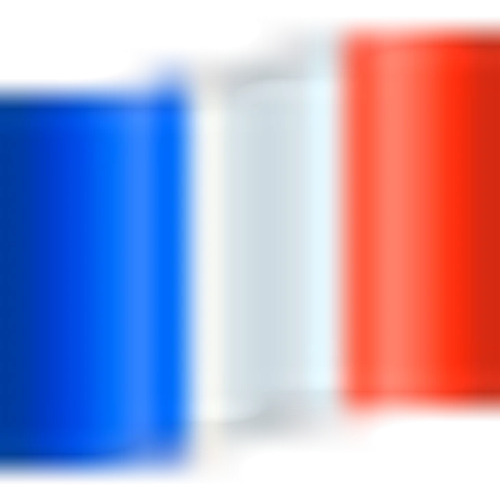 🇫🇷