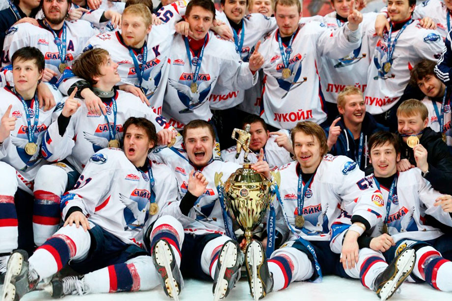 Чайка, Витязь, МХЛ, Сочи, Сборная России по хоккею с шайбой, Амур, Торпедо, КХЛ, Молодежная сборная России по хоккею