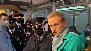 «В рамках ФИДЕ организовать шахматный турнир с участием Навального...»