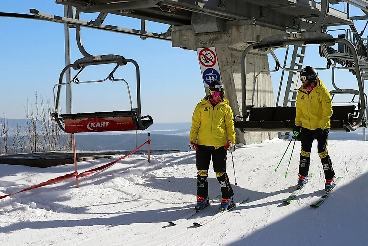 Шведы