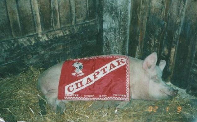 Спартак