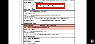 Дворец Путина. При чем тут фигурка?