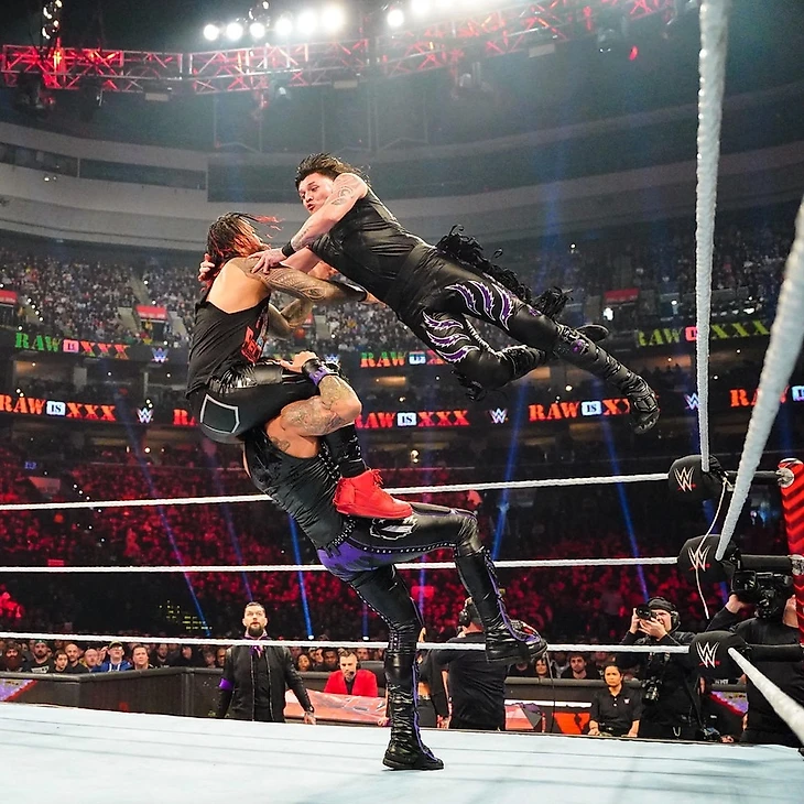 Обзор WWE RAW Is XXX, изображение №8