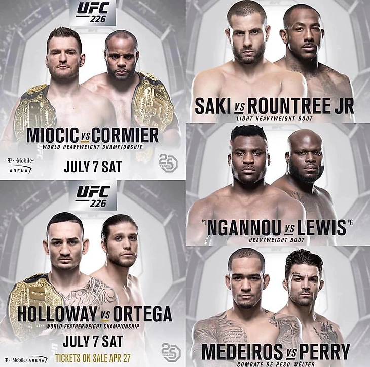 UFC 226