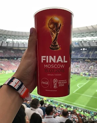 Чемпионат мира. Финал. Всё, за эти мгновения
