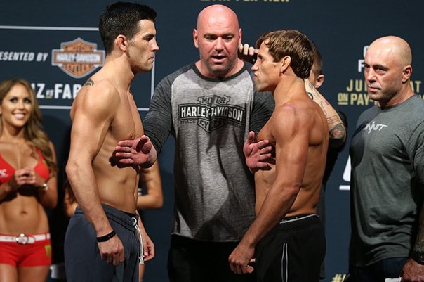 UFC, смешанные единоборства