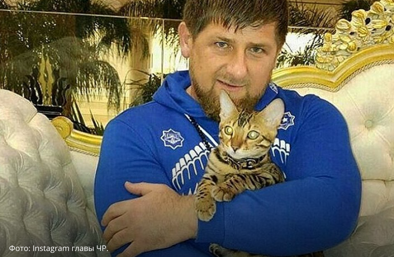 Ахмад Кадыров, ЦСКА, Хабиб Нурмагомедов