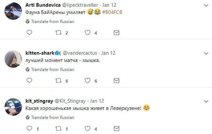 мышь1
