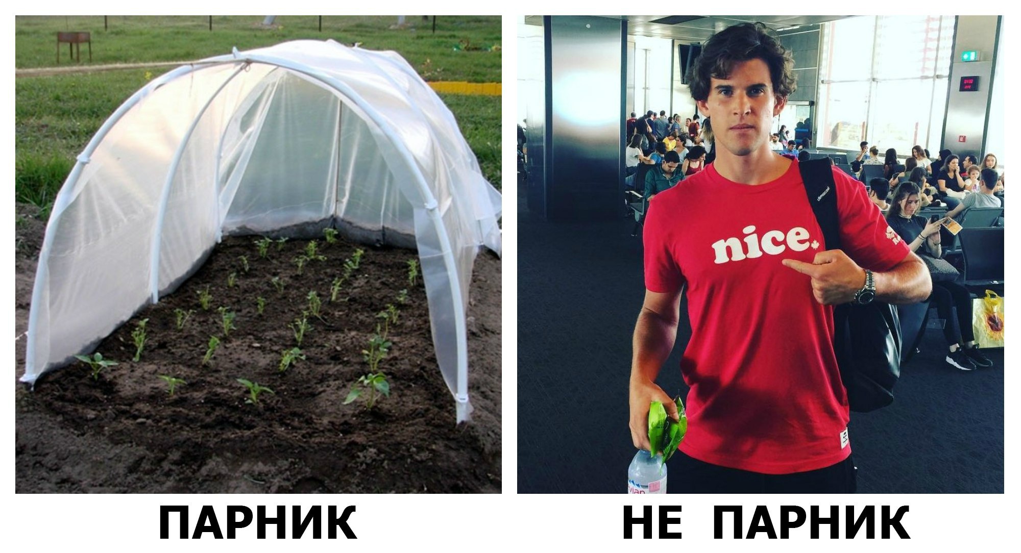 Обоснование: Тим в паре