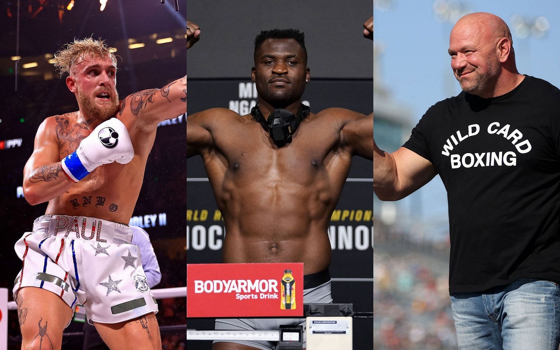 Джейк Пол, UFC, MMA, Фрэнсис Нганну, Дана Уайт