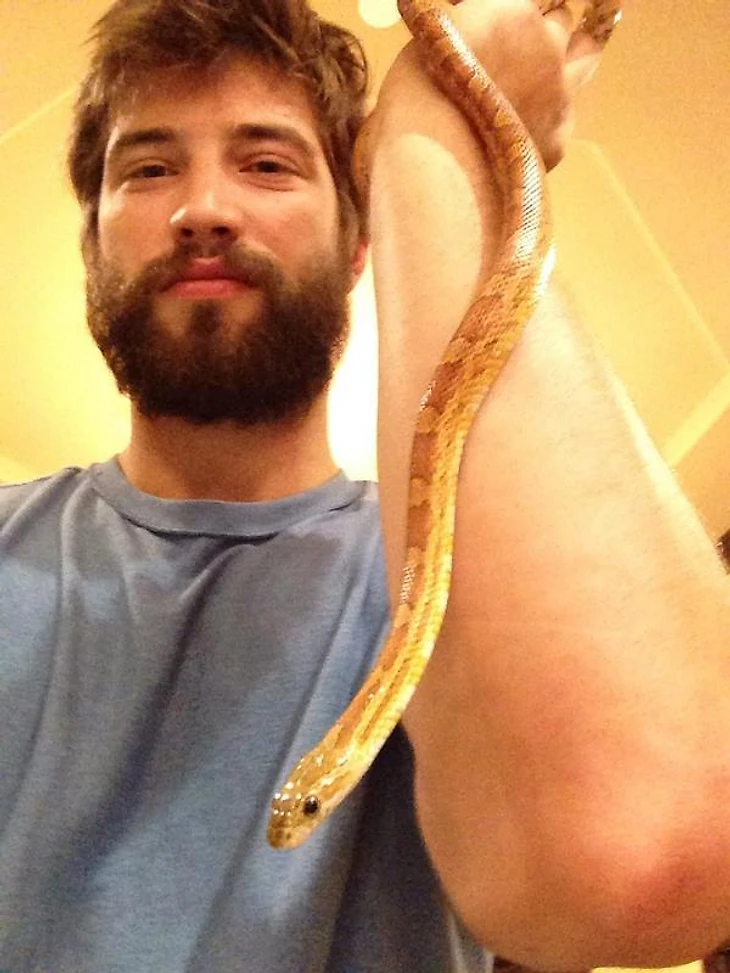 snake