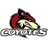 Arizona Coyotes