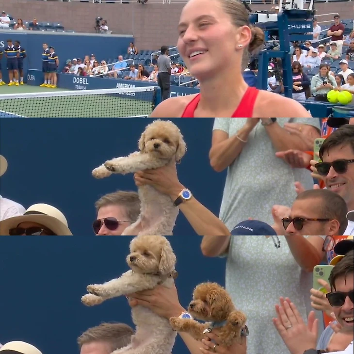 Изображение поста пользователя The Tennis Letter от 21:47:04 30.08.2026