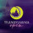 Transylvania Open 