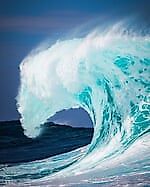 seasea, seasea