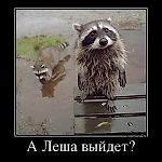 Алексей Кириченко, Алексей Кириченко