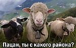 dos_ng@list.ru, dos_ng@list.ru