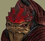 Krogan_, Krogan_