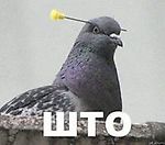 razorENEMY, razorENEMY