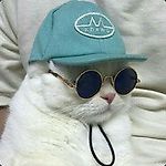 naf @ nya, naf @ nya