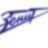 FC Zenit Saint-Petersburg