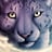 Panthera uncia