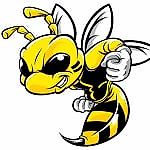 Bumblebee Killer, Bumblebee Killer