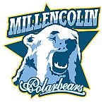 Millencolin, Millencolin