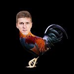 zemskov.wladyslaw, zemskov.wladyslaw