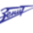 FC Zenit (San Petersburgo)