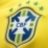 Seleo Brasileira