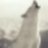 wolf|88