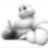 bibendum