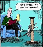 Войцех Ерундельский, Войцех Ерундельский