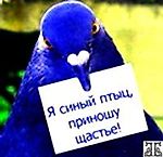 Джина Мак Грин, Джина Мак Грин