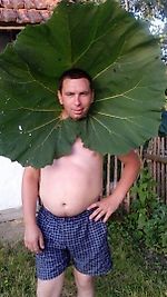 макс прокуративный, макс прокуративный