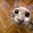calinda2@rambler.ru