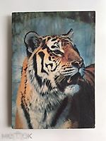 N-6 AlexanderX, N-6 AlexanderX