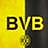 Изображение автора - BVB Ultras