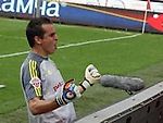 Davids, Davids