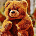 Sugar_bear