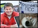 evgeny521, evgeny521