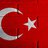 Turkish turkey