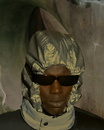 Alex Sarus, Alex Sarus