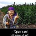 Пошли Вы нахер!