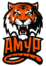 ХК Амур, ХК Амур