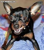 natasha-dybrovina@mail.ru, natasha-dybrovina@mail.ru