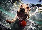 25081132@vkontakte.ru, 25081132@vkontakte.ru