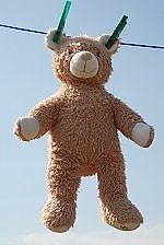teddybir, teddybir
