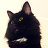 Чёрный котейка
